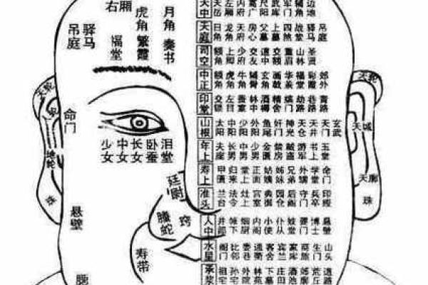 面相看子女运势解析