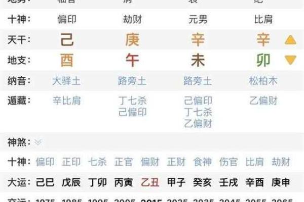 八字中将星的含义与影响解析