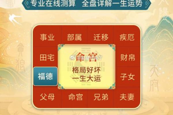 向华强面相中的智慧与果敢：如何看透他的命运密码