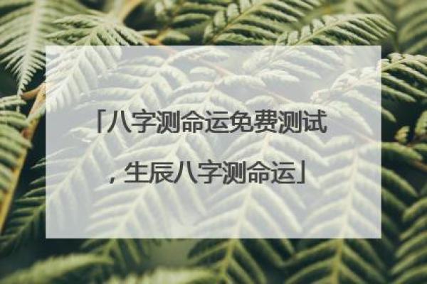 八字免费测试体验：精准分析你的性格与命运轨迹