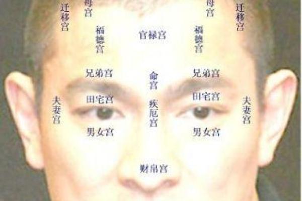 解读额头凹陷的面相与命运之间的联系