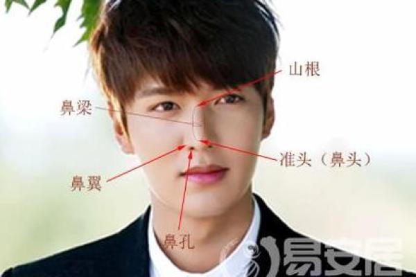 面相学中的鼻子山根低与个性命运的关系