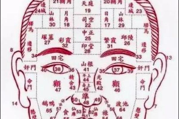 如何通过痣相区分左右面相的不同含义