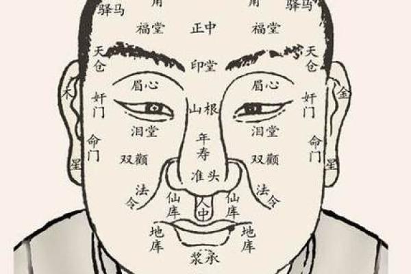 面相学入门：从五官看透你的命运走势