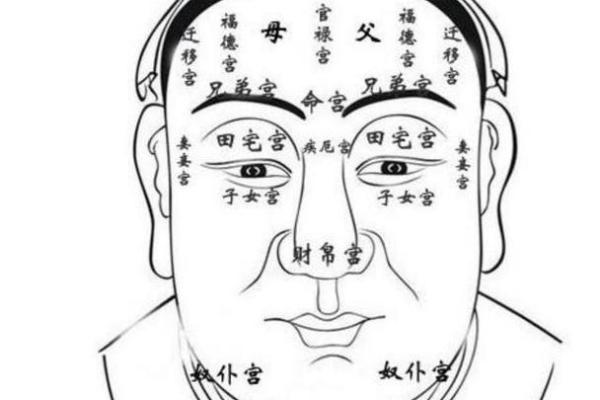 面相学入门：从五官看透你的命运走势