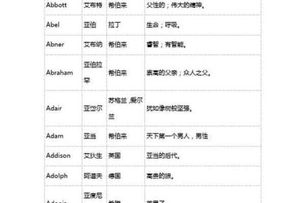 经典男孩英文名字解析与选择技巧