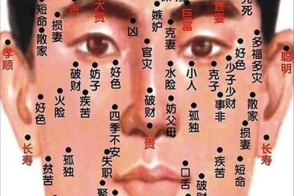 解读痣相：男人全身痣相图解与命运解析
