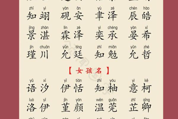龙宝宝名字大全：寓意吉祥的精选组合