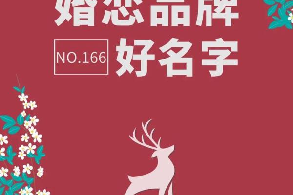 公司起名的创意宝典，助你打造独特品牌
