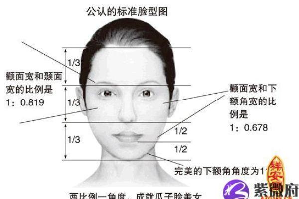 高颧骨面相的深层含义与命运走向