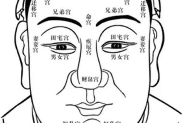 麻衣神相解读痣相的奥秘与命运关系