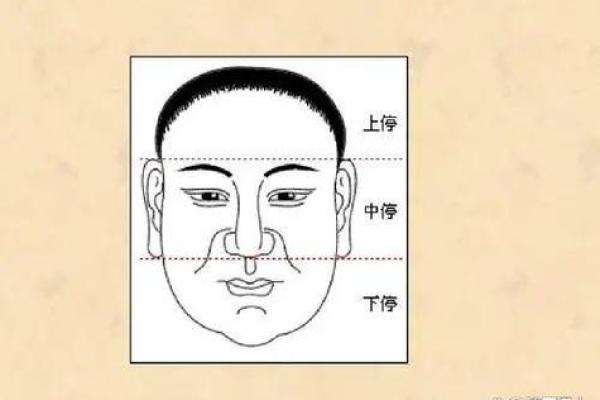 如何通过面相判断一个人的性格与命运