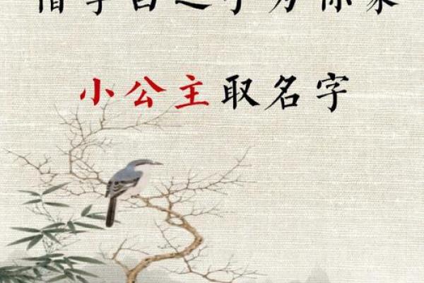 取名时如何结合寓意好的字提升气质