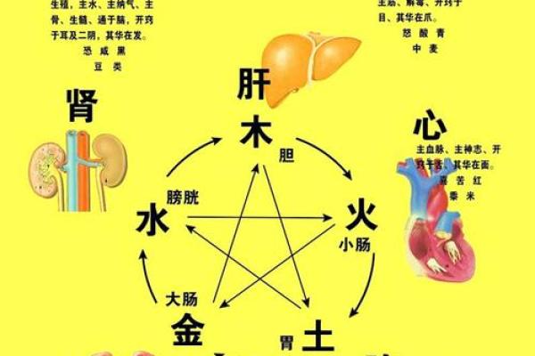 从家居风水看肾脏健康：如何打造有益环境