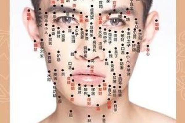 面相与命运的关系：如何根据面部特征做判断
