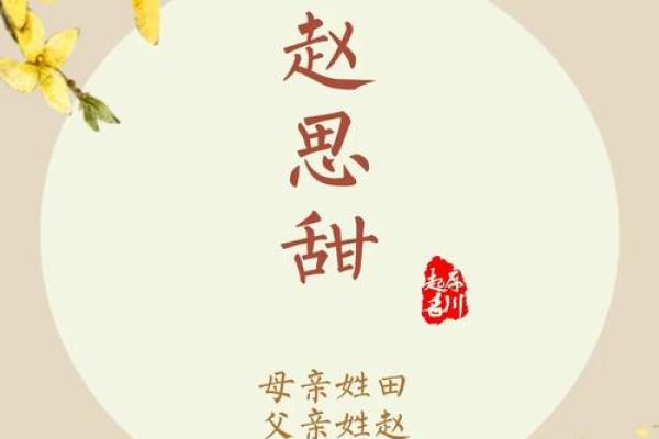 张姓起名宝典：赋予孩子美好寓意的命名方法