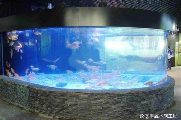 打造和谐家居风水：鱼缸摆设的五大原则