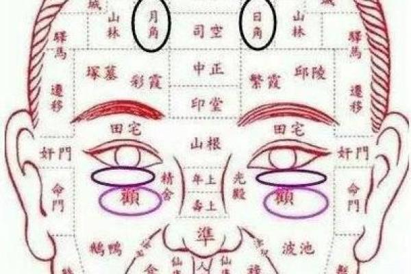 麻衣相法痣相全图解与运势分析