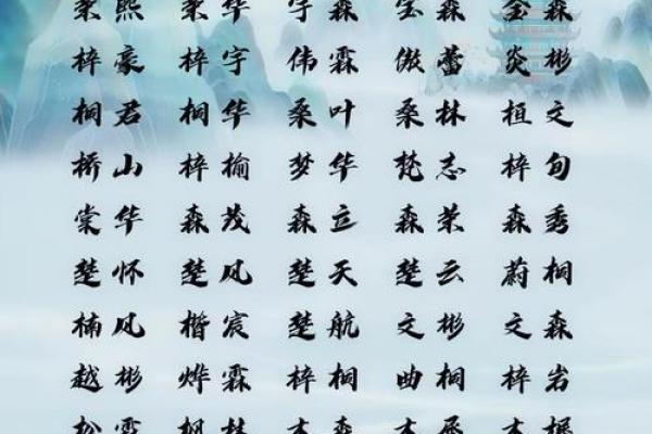 缺木男孩名字的独特寓意与选择指南
