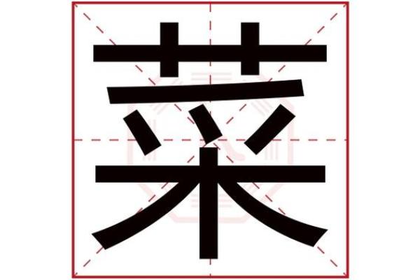 蔬菜公司起名策略：如何让名字更具吸引力
