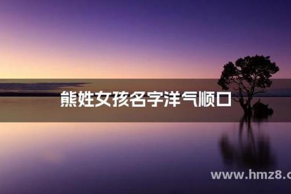 熊姓宝宝取名大全：适合熊姓家庭的经典与现代名字推荐