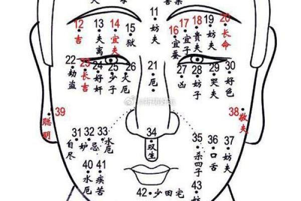 面相解析：如何从面部特征看透一个人的性格与命运