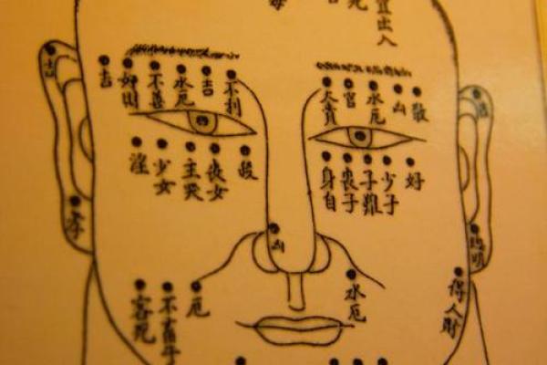 面相解析：如何从面部特征看透一个人的性格与命运