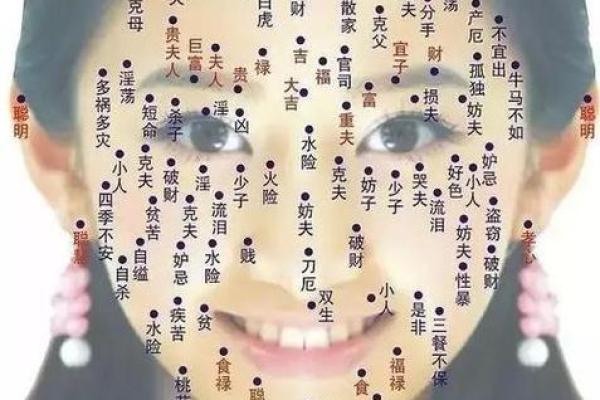 探索痣相大全PDF的奥秘
