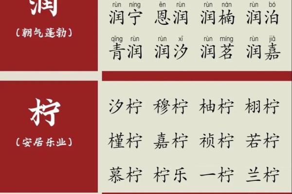 龙宝宝起名的十大创意与传统技巧