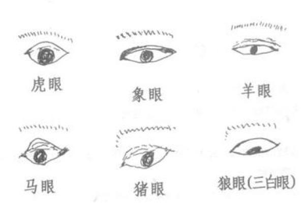 面相学入门：你脸上的线条透露了哪些秘密