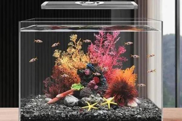 提升家居风水运势的鱼缸摆放建议