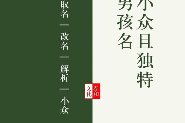 独特且有内涵的金姓男孩名字灵感推荐