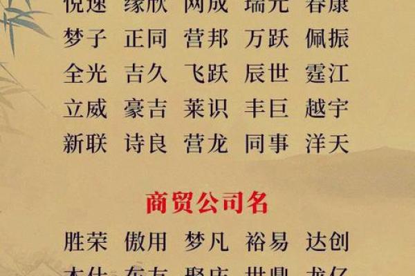 如何为公司选择一个既有创意又具吸引力的名字
