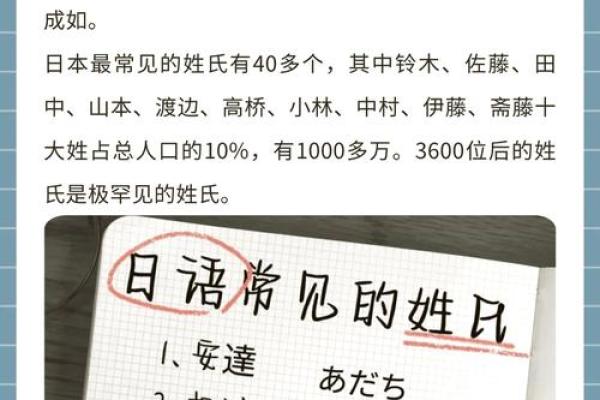 免费取名字大全：创意与传统并存的名字选择宝典