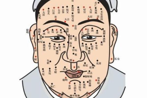 如何通过面部痣判断事业运势