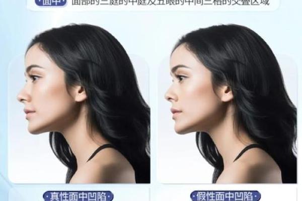 面相学中的龙骨解析：如何从面部骨骼判断未来