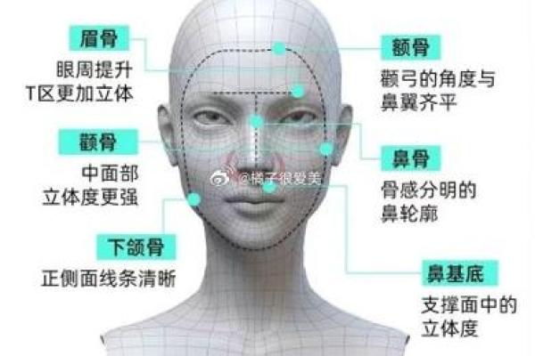 面相学中的龙骨解析：如何从面部骨骼判断未来