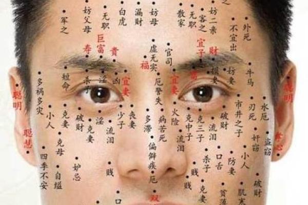 面相痣图解：女性面部痣的位置与暗示
