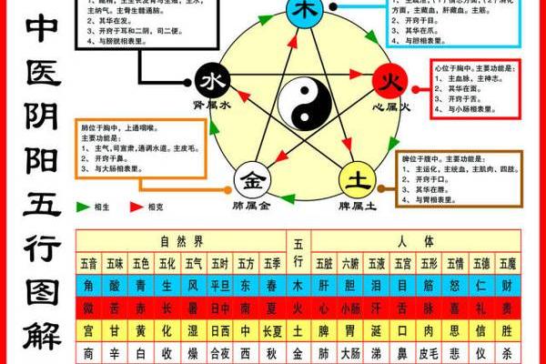 提升家居风水助力肾脏健康的五个关键因素