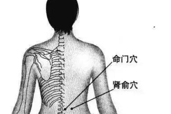 提升家居风水助力肾脏健康的五个关键因素