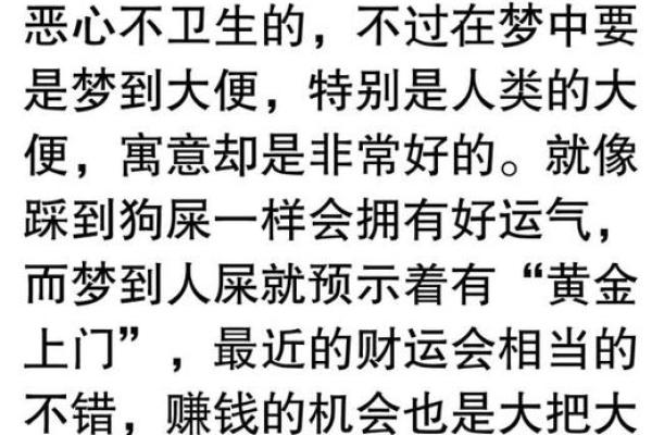 游泳梦境背后的深刻象征与心理解读