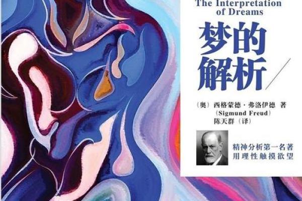 游泳梦境背后的深刻象征与心理解读