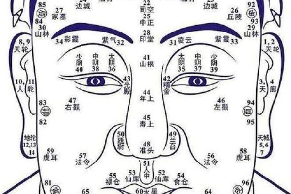 通过奶茶妹妹的面相分析，揭示她的性格特点与人生轨迹
