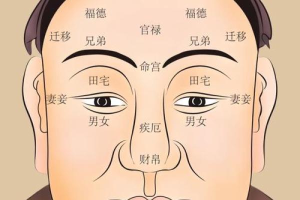 面相解密：如何通过面部细节了解一个人