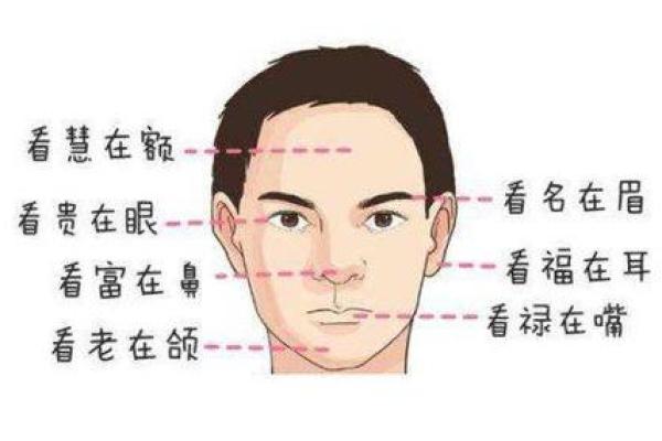 面相解密：如何通过面部细节了解一个人