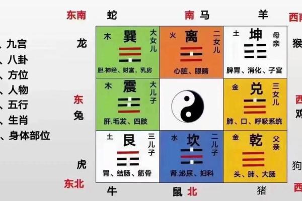 从风水角度看家居环境对身体健康的影响