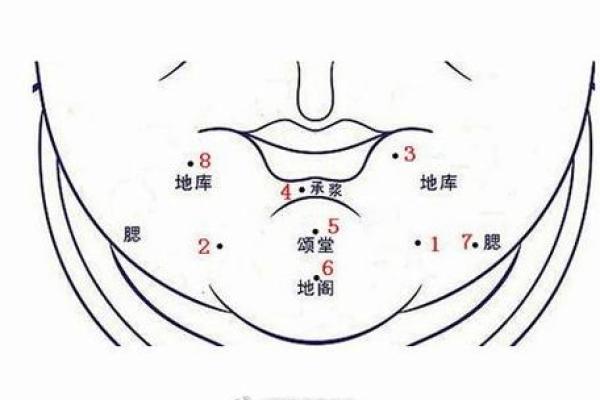 下巴短的面相解析：如何通过面部特征改善运势