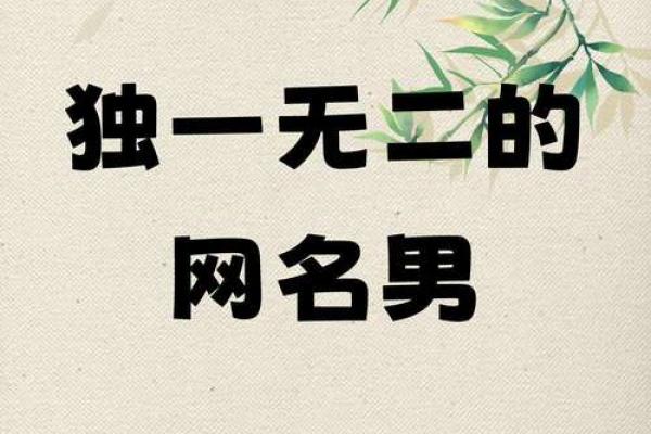 如何为公司选择一个独特且有吸引力的名字