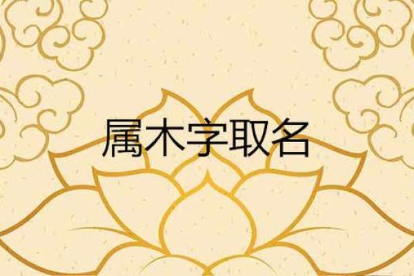 鸣字五行属性解析及其在命理中的应用