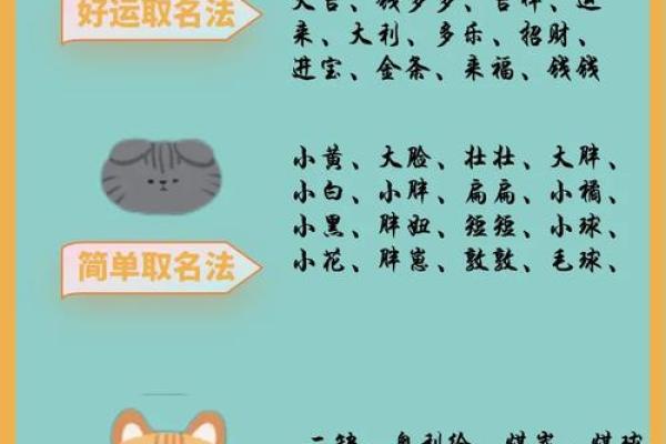 探索适合小猫的名字灵感